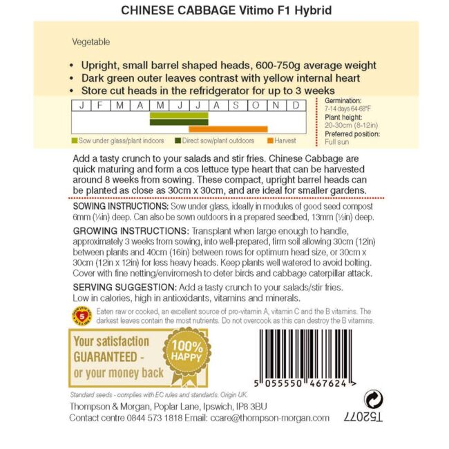 THOMPSON & MORGAN - CHINESE CABBAGE VITIMO - Image 2