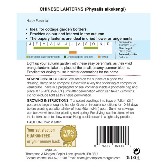 THOMPSON & MORGAN - CHINESE LANTERNS (PHYSALIS GIGANTEA) SEEDS - Image 2