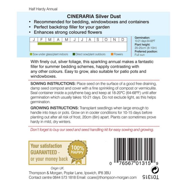 THOMPSON & MORGAN - CINERARIA SILVER DUST SEEDS - Image 2