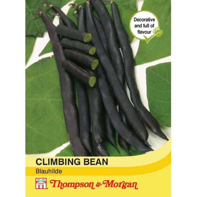 THOMPSON & MORGAN - CLIMBING BEAN BLAUHILDE SEEDS
