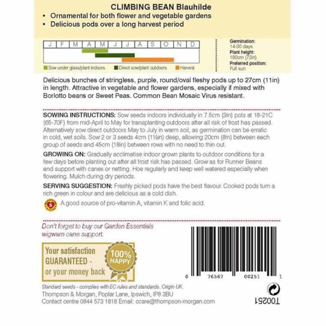 THOMPSON & MORGAN - CLIMBING BEAN BLAUHILDE SEEDS - Image 2