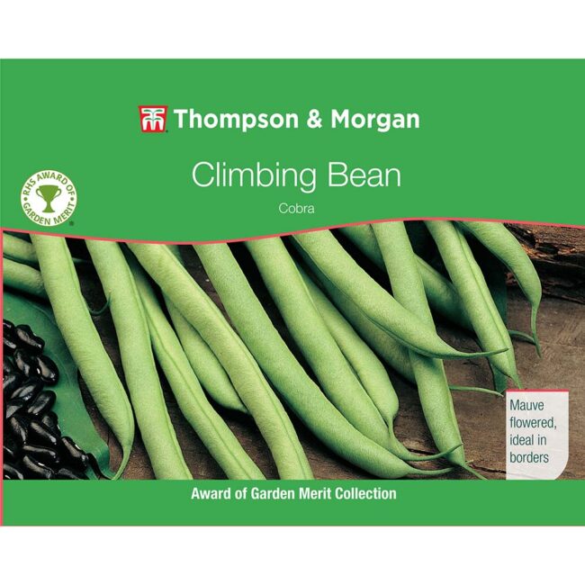 THOMPSON & MORGAN - CLIMBING BEAN COBRA