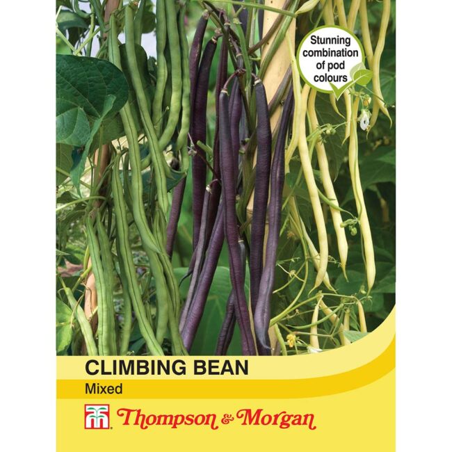 THOMPSON & MORGAN - CLIMBING BEAN MIXED SEEDS
