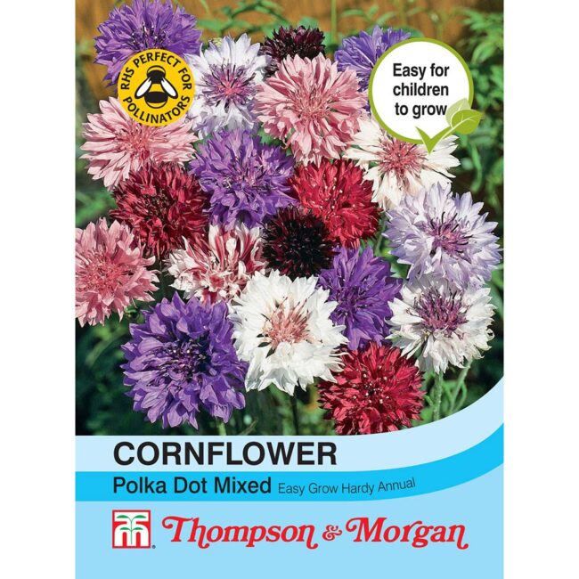 THOMPSON & MORGAN - CORNFLOWER POLKA DOT MIXED SEEDS