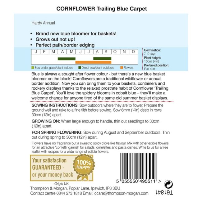 THOMPSON & MORGAN - CORNFLOWER TRAILING BLUE CARPET SEEDS - Image 2