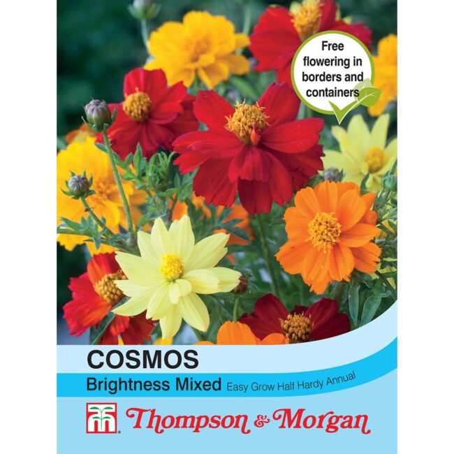 THOMPSON & MORGAN - COSMOS BRIGHTNESS MIXED SEEDS
