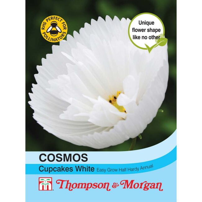 THOMPSON & MORGAN - COSMOS CUPCAKES WHITE SEEDS