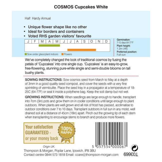 THOMPSON & MORGAN - COSMOS CUPCAKES WHITE SEEDS - Image 2