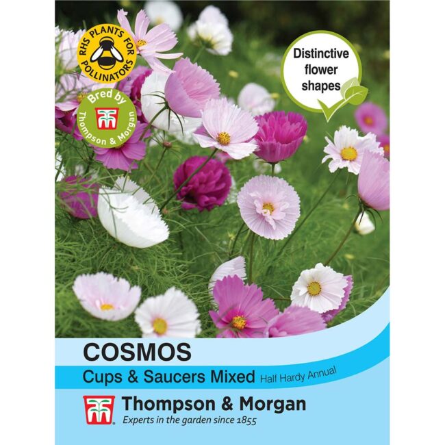 THOMPSON & MORGAN - COSMOS CUPS & SAUCERS MIXED SEEDS