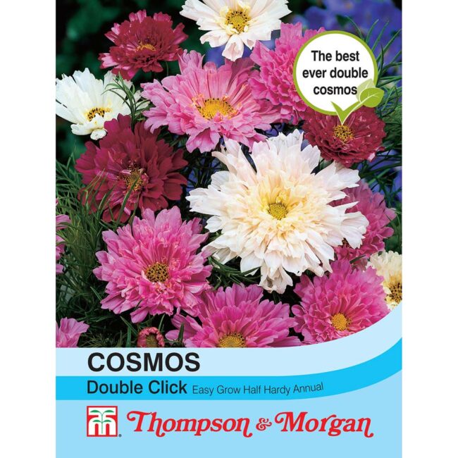 THOMPSON & MORGAN - COSMOS DOUBLE CLICK SEEDS