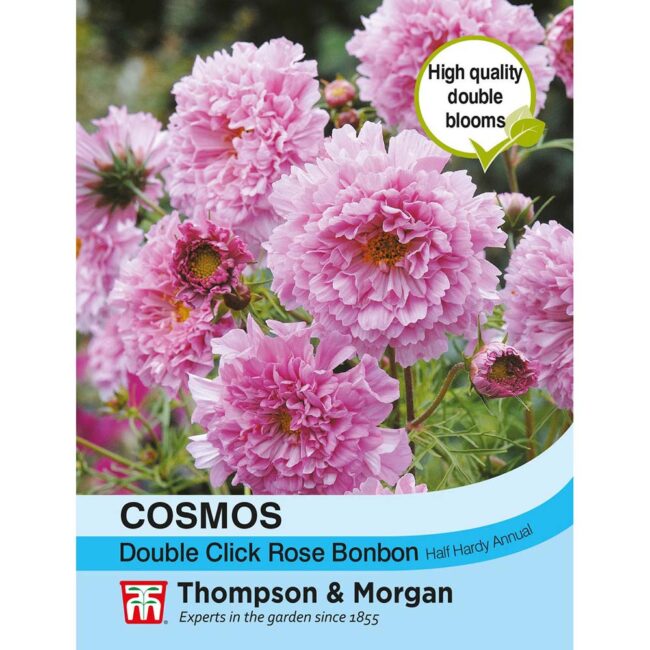 THOMPSON & MORGAN - COSMOS DOUBLE CLICK ROSE BONBON SEEDS