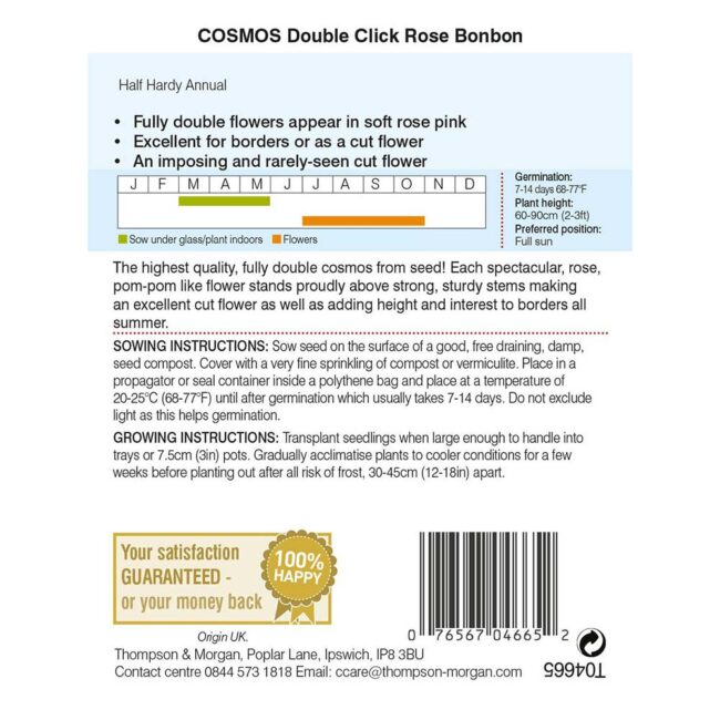 THOMPSON & MORGAN - COSMOS DOUBLE CLICK ROSE BONBON SEEDS - Image 2