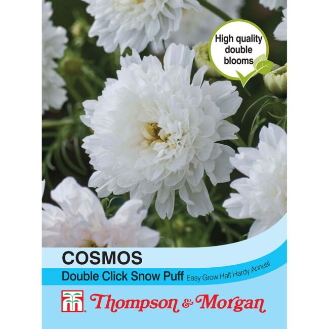 THOMPSON & MORGAN - COSMOS DOUBLE CLICK SNOW PUFF SEEDS