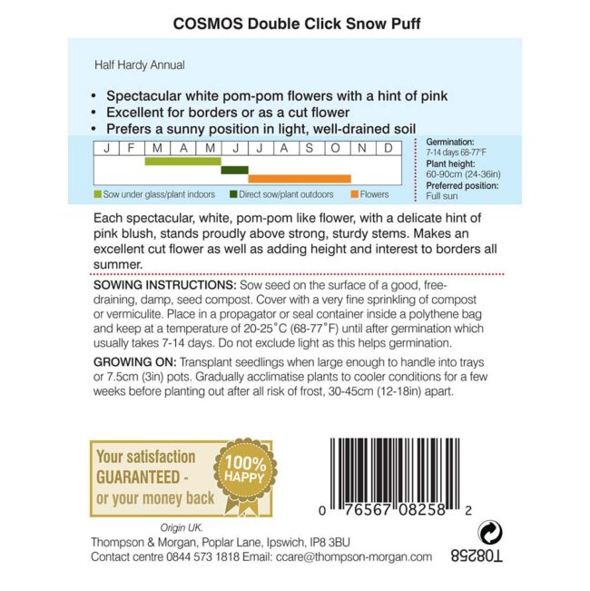 THOMPSON & MORGAN - COSMOS DOUBLE CLICK SNOW PUFF SEEDS - Image 2