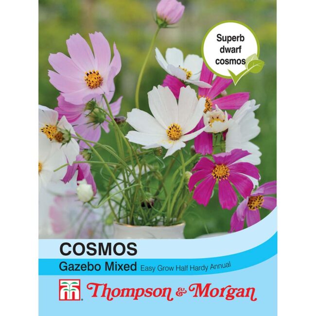 THOMPSON & MORGAN - COSMOS GAZEBO MIXTURE SEEDS