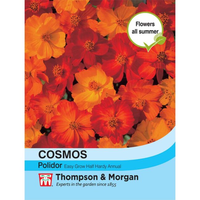 THOMPSON & MORGAN - COSMOS POLIDOR SEEDS