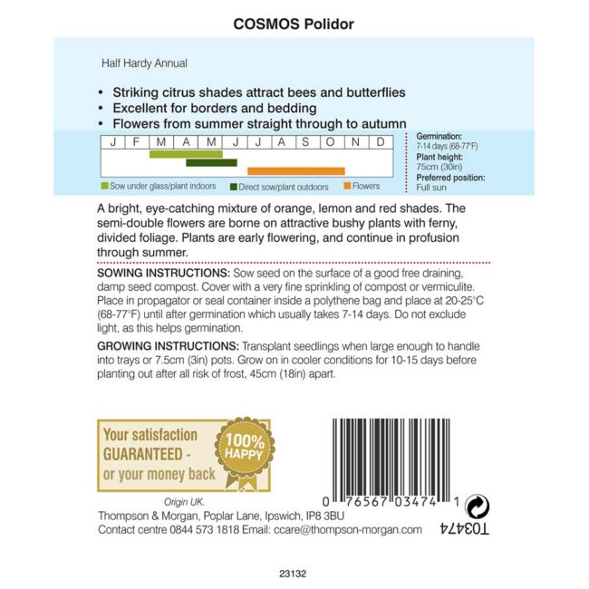THOMPSON & MORGAN - COSMOS POLIDOR SEEDS - Image 2