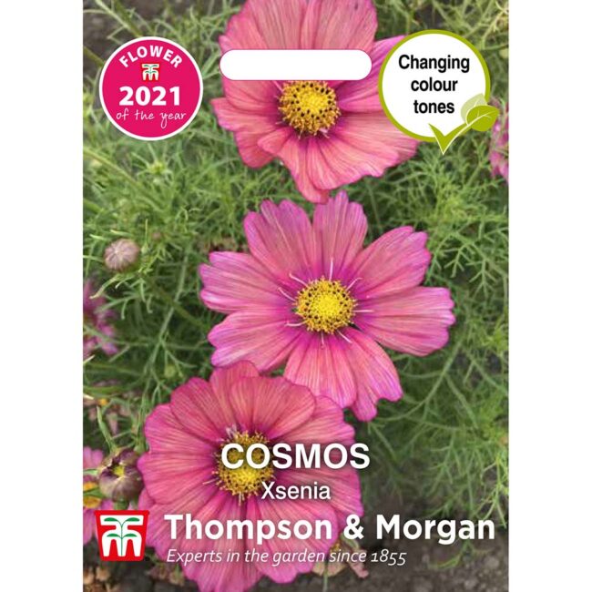 THOMPSON & MORGAN - COSMOS XSENIA SEEDS
