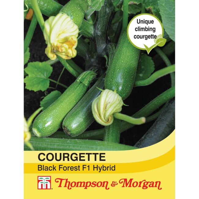 THOMPSON & MORGAN - COURGETTE BLACK FOREST F1 HYBRID SEEDS