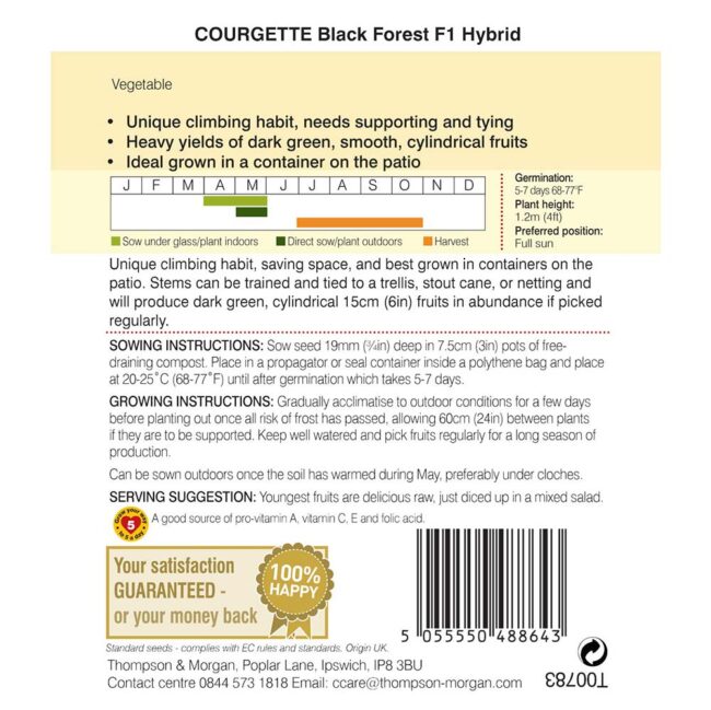 THOMPSON & MORGAN - COURGETTE BLACK FOREST F1 HYBRID SEEDS - Image 2
