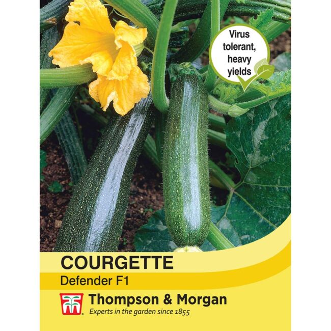 THOMPSON & MORGAN - COURGETTE DEFENDER F1 HYBRID SEEDS