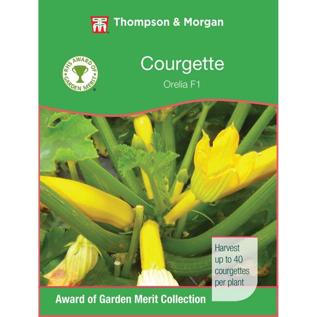 THOMPSON & MORGAN - COURGETTE ORELIA F1 HYBRID