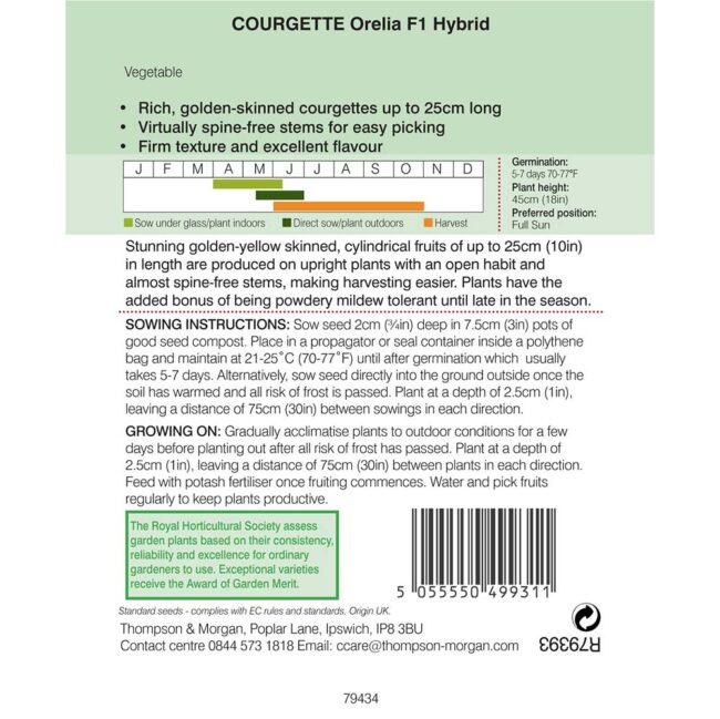 THOMPSON & MORGAN - COURGETTE ORELIA F1 HYBRID - Image 2