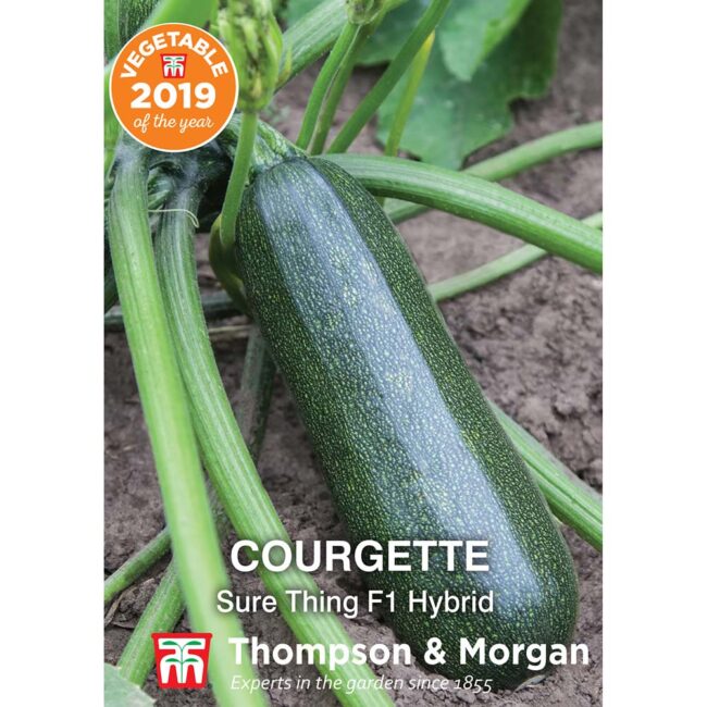 THOMPSON & MORGAN - COURGETTE SURE THING F1 HYBRID SEEDS