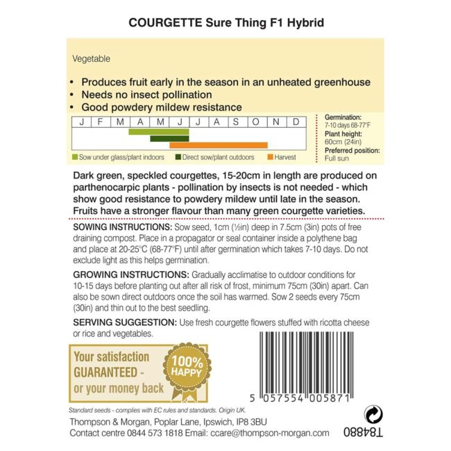 THOMPSON & MORGAN - COURGETTE SURE THING F1 HYBRID SEEDS - Image 2