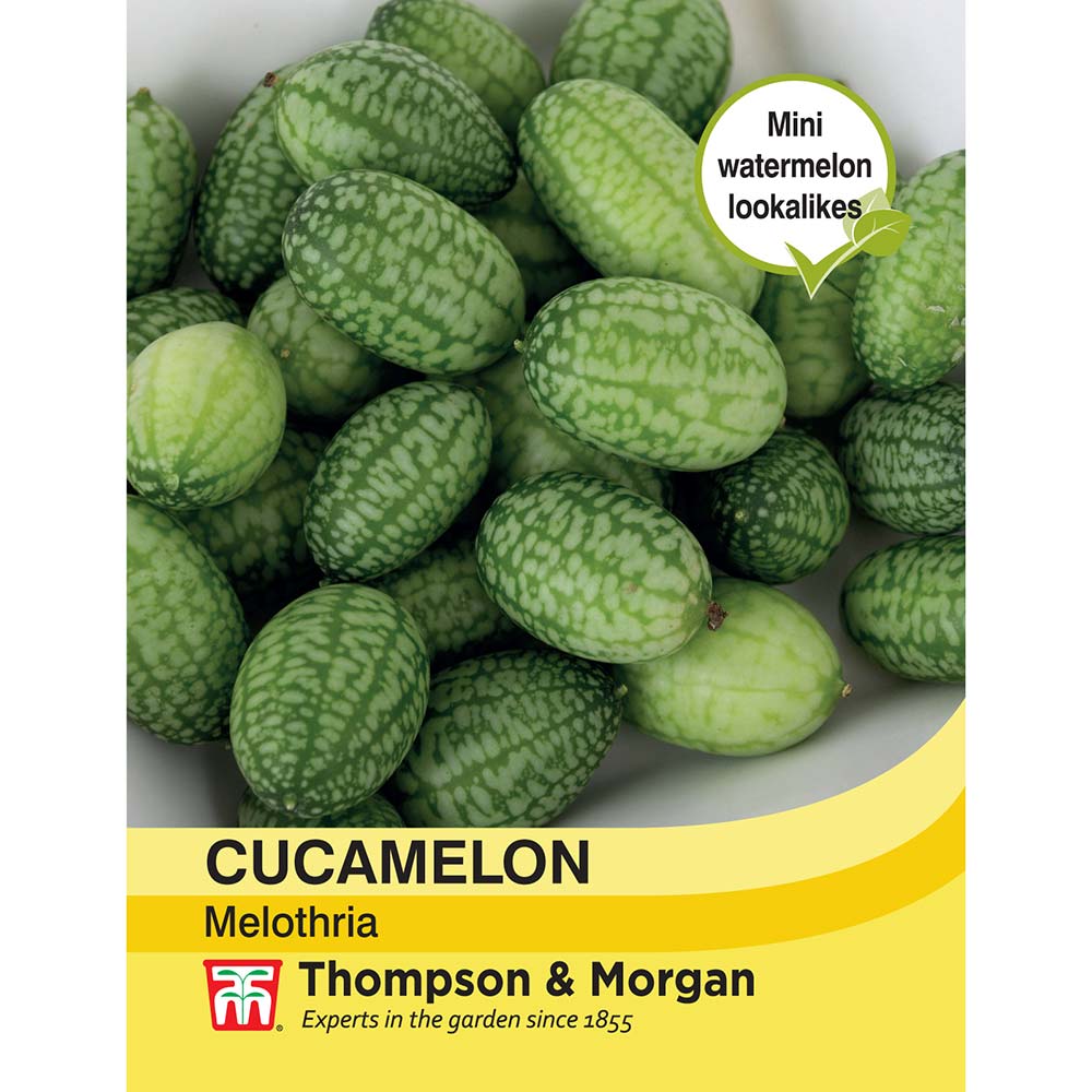 THOMPSON & MORGAN - CUCAMELON MELOTHRIA SEEDS
