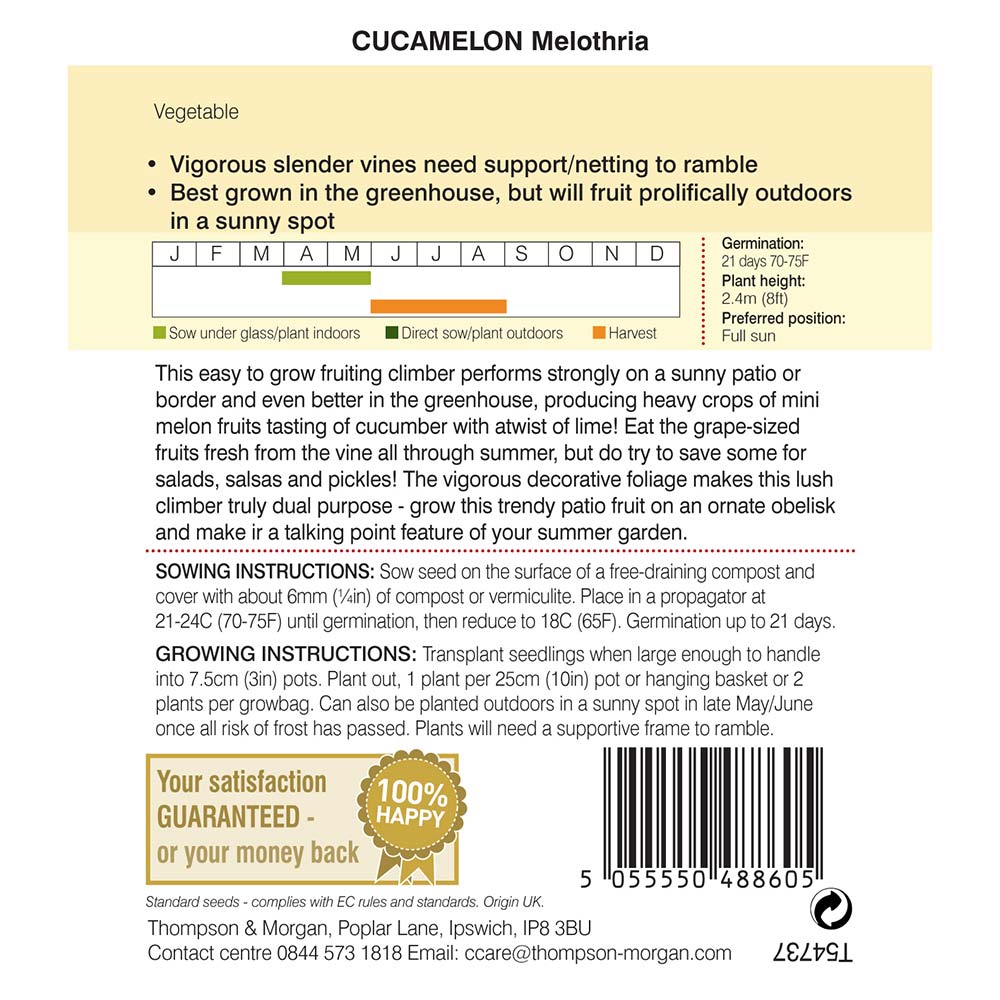 THOMPSON & MORGAN - CUCAMELON MELOTHRIA SEEDS - Image 2