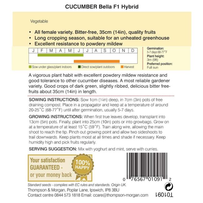 THOMPSON & MORGAN - CUCUMBER BELLA F1 HYBRID SEEDS - Image 2