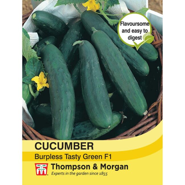 THOMPSON & MORGAN - CUCUMBER BURPLESS TASTY GREEN F1 SEEDS