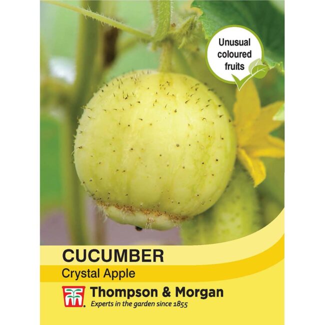 THOMPSON & MORGAN - CUCUMBER CRYSTAL APPLE