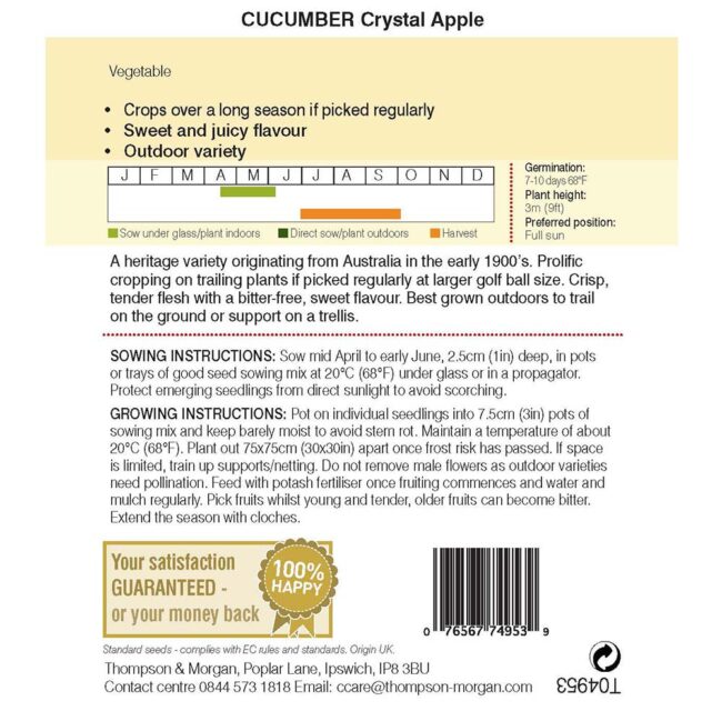 THOMPSON & MORGAN - CUCUMBER CRYSTAL APPLE - Image 2