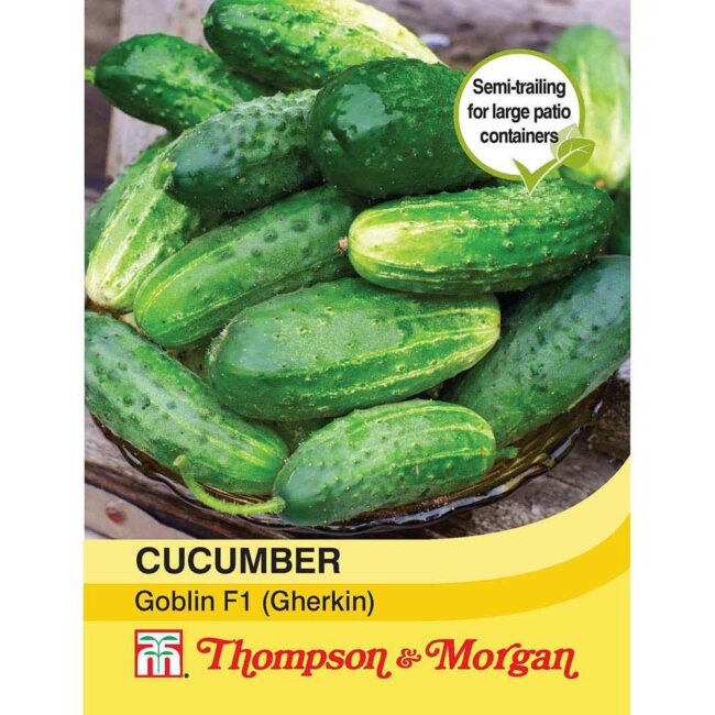 THOMPSON & MORGAN - CUCUMBER GOBLIN F1 HYBRID (GHERKIN) SEEDS