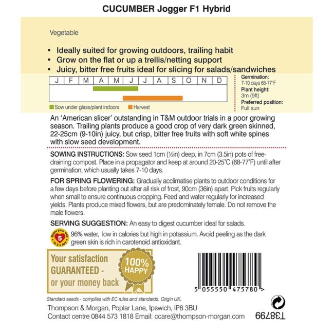 THOMPSON & MORGAN - CUCUMBER JOGGER F1 HYBRID SEEDS - Image 2