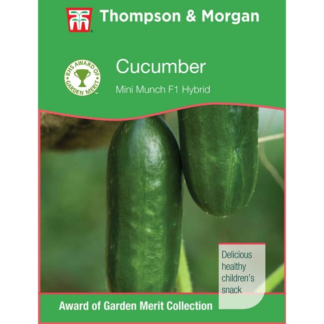 THOMPSON & MORGAN - CUCUMBER MINI MUNCH