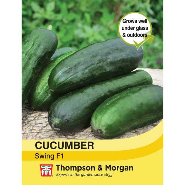 THOMPSON & MORGAN - CUCUMBER SWING F1 HYBRID SEEDS