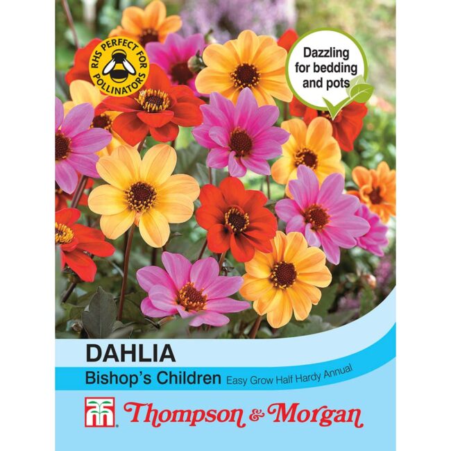 THOMPSON & MORGAN - DAHLIA BISHOPS CHILDREN SEEDS