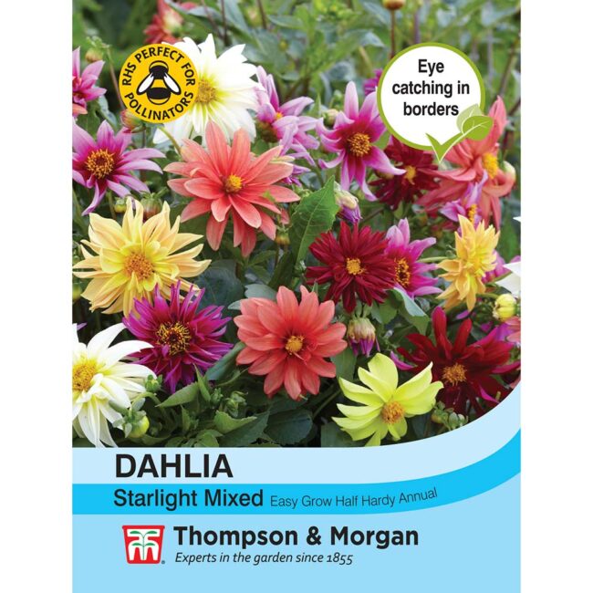 THOMPSON & MORGAN - DAHLIA STARLIGHT MIXED SEEDS