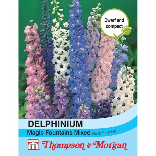 THOMPSON & MORGAN - DELPHINIUM MAGIC FOUNTAINS SEEDS