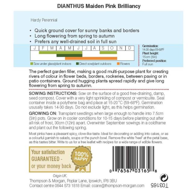 THOMPSON & MORGAN - DIANTHUS MAIDEN PINK BRILLIANCY SEEDS - Image 2