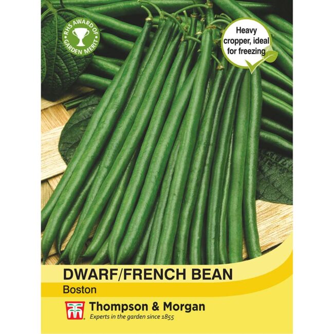 THOMPSON & MORGAN - DWARF BEAN BOSTON SEEDS