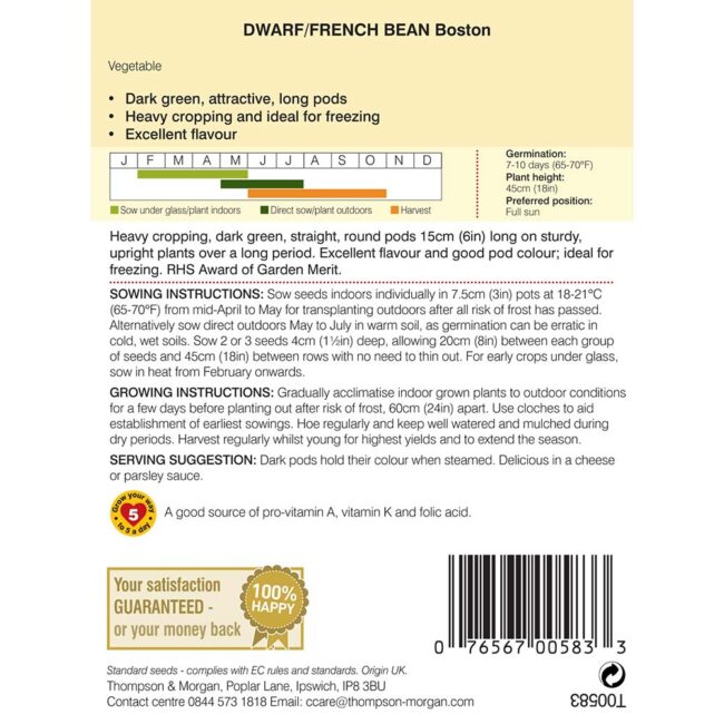 THOMPSON & MORGAN - DWARF BEAN BOSTON SEEDS - Image 2