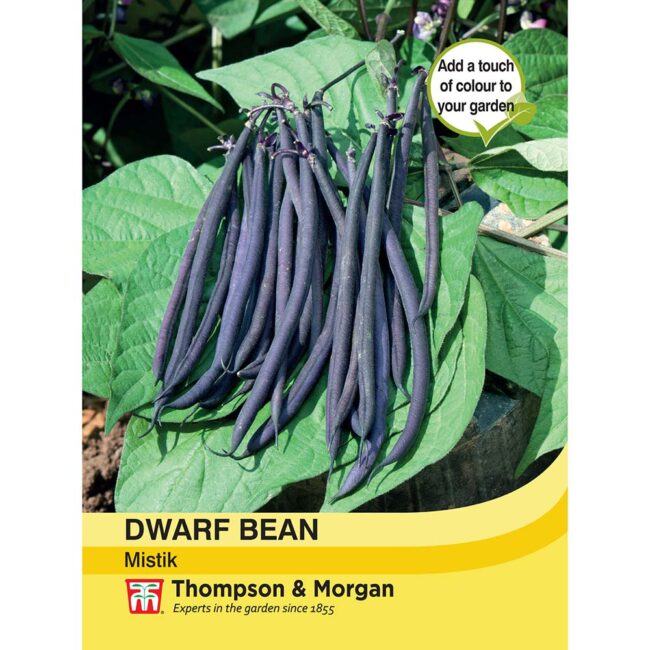 THOMPSON & MORGAN - DWARF BEAN MISTIK
