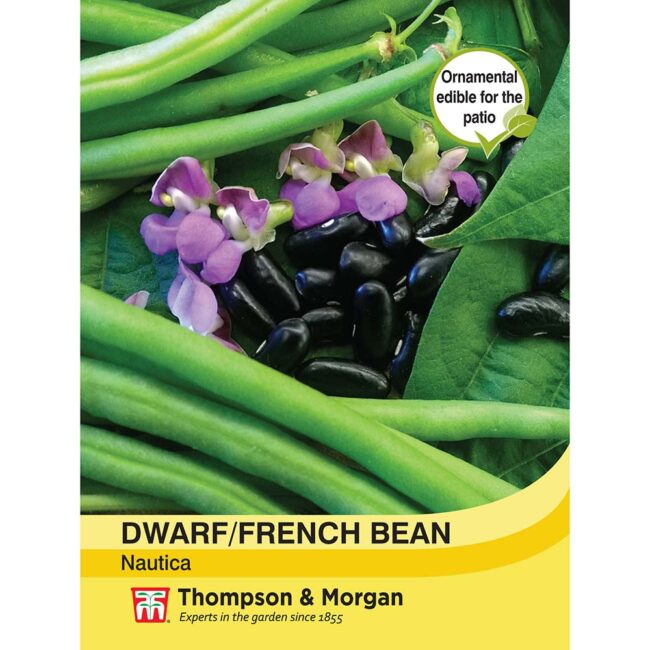 THOMPSON & MORGAN - DWARF BEAN NAUTICA SEEDS