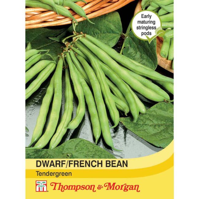 THOMPSON & MORGAN - DWARF BEAN TENDERGREEN SEEDS