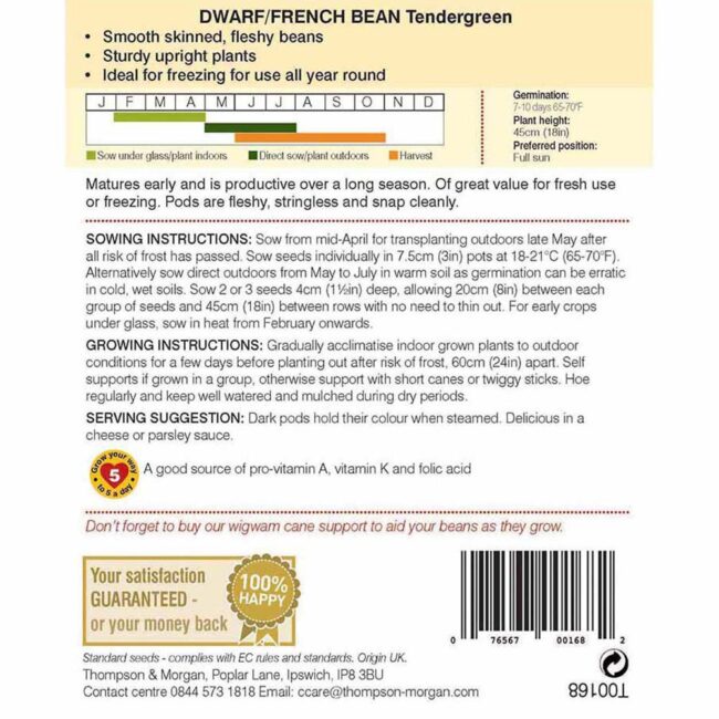 THOMPSON & MORGAN - DWARF BEAN TENDERGREEN SEEDS - Image 2