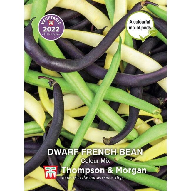 THOMPSON & MORGAN - DWARF FRENCH BEAN COLOUR MIX